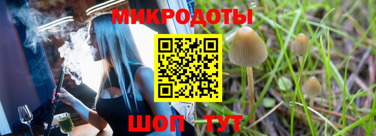 Галлюциногенные грибы GOLDEN TEACHER Шарыпово